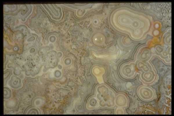 413016 Mexican Lace Agate A4 Photo Print