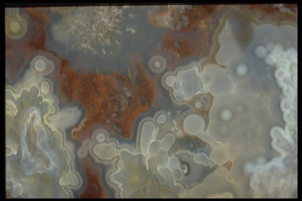 413018 Mexican Lace Agate A4 Photo Print