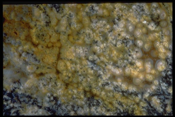 413020 Cathedral Agate A4 Photo Print