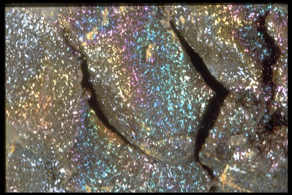 413023 Iridescent Siderite A4 Photo Print