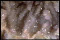 413024 Quartz Crystals In Geode A4 Photo Print