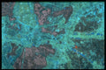 413025 Malachite A4 Photo Print