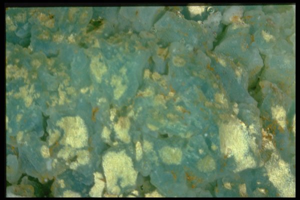 413027 Chrysoprase, Australia A4 Photo Print