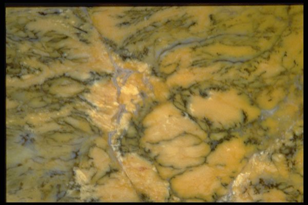 413030 Dendritic Opal A4 Photo Print