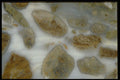 413031 Ocean Picture Rock, Canada A4 Photo Print