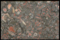 413035 Chazy Fossil Stone A4 Photo Print