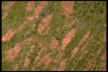 413036 Unakite, USA A4 Photo Print
