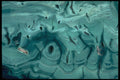 413039 Malachite, Zaire A4 Photo Print