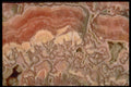 413040 Rhodochrosite, Argentina A4 Photo Print