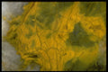 413048 Opal A4 Photo Print