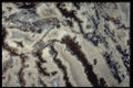 413050 Zebra Agate, Mexico A4 Photo Print