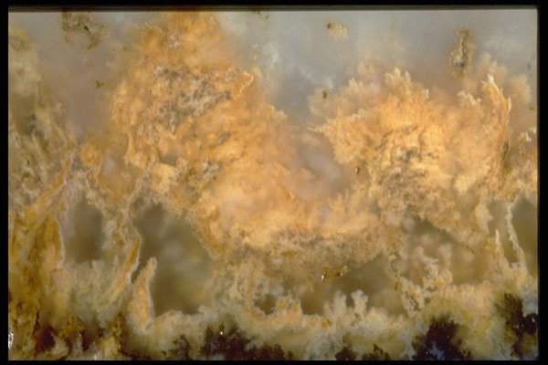 413056 Mexican Plume Agate A4 Photo Print