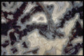413057 Zebra Agate, Mexico A4 Photo Print
