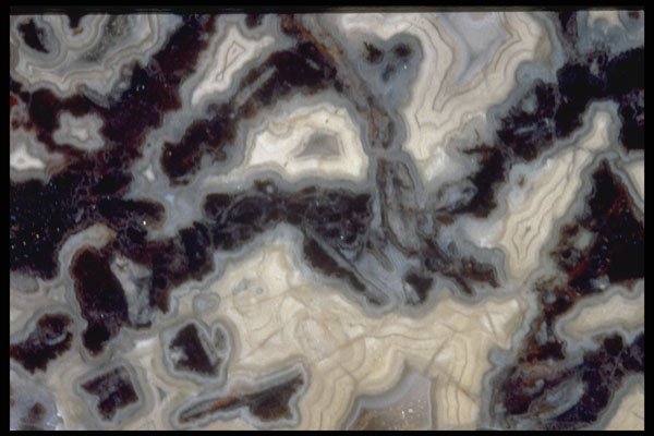 413057 Zebra Agate, Mexico A4 Photo Print