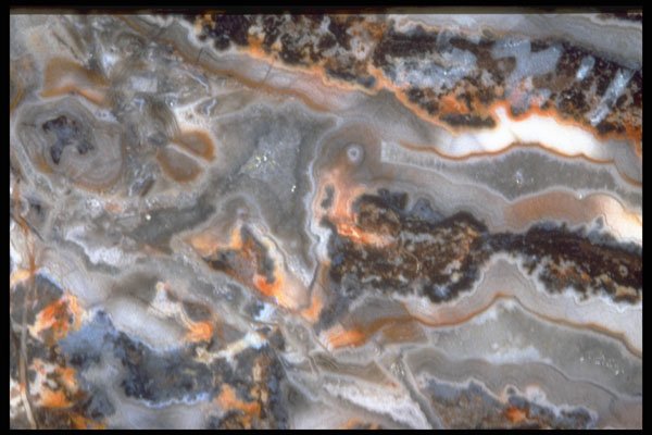 413058 Zebra Agate, Mexico A4 Photo Print