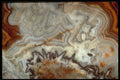413061 Mexican Agate A4 Photo Print