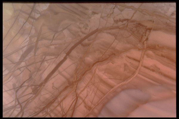 413065 Rose Agate A4 Photo Print