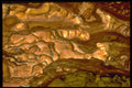 413066 Bigg's Jasper A4 Photo Print