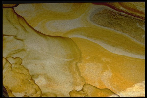 413068 Jasper A4 Photo Print