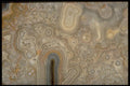 413090 Mexican Lace Agate A4 Photo Print