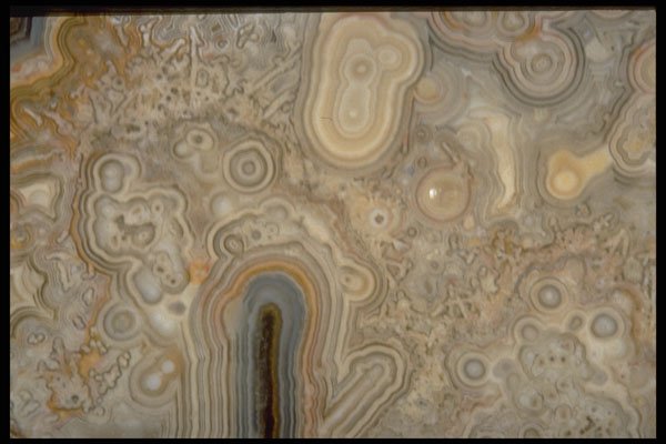 413090 Mexican Lace Agate A4 Photo Print