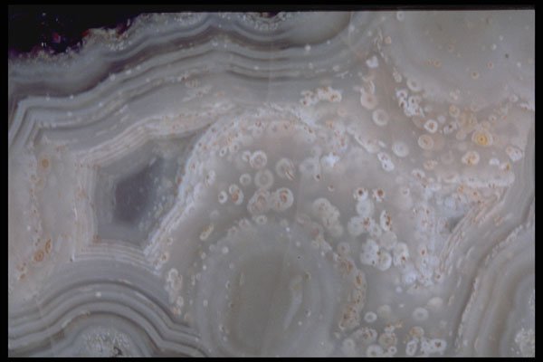 413098 Percellus Agate, Mexico A4 Photo Print