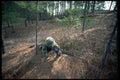 414021 M 16 A1 Rifle A4 Photo Print