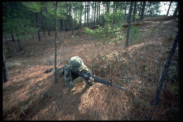 414021 M 16 A1 Rifle A4 Photo Print