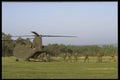 414024 Heavy lift Helicopter A4 Photo Print