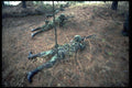 414025 M 16 A1 Rifle A4 Photo Print