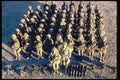 414030 Infantry A4 Photo Print