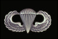 414066 Airborne Qualification Badge A4 Photo Print