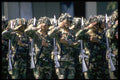 414077 7th Light Infantry Division A4 Photo Print