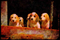 415000 Welsh Foxhound Puppies A4 Limited Edition Watercolour Print