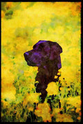 415010 Labrador A4 Limited Edition Watercolour Print