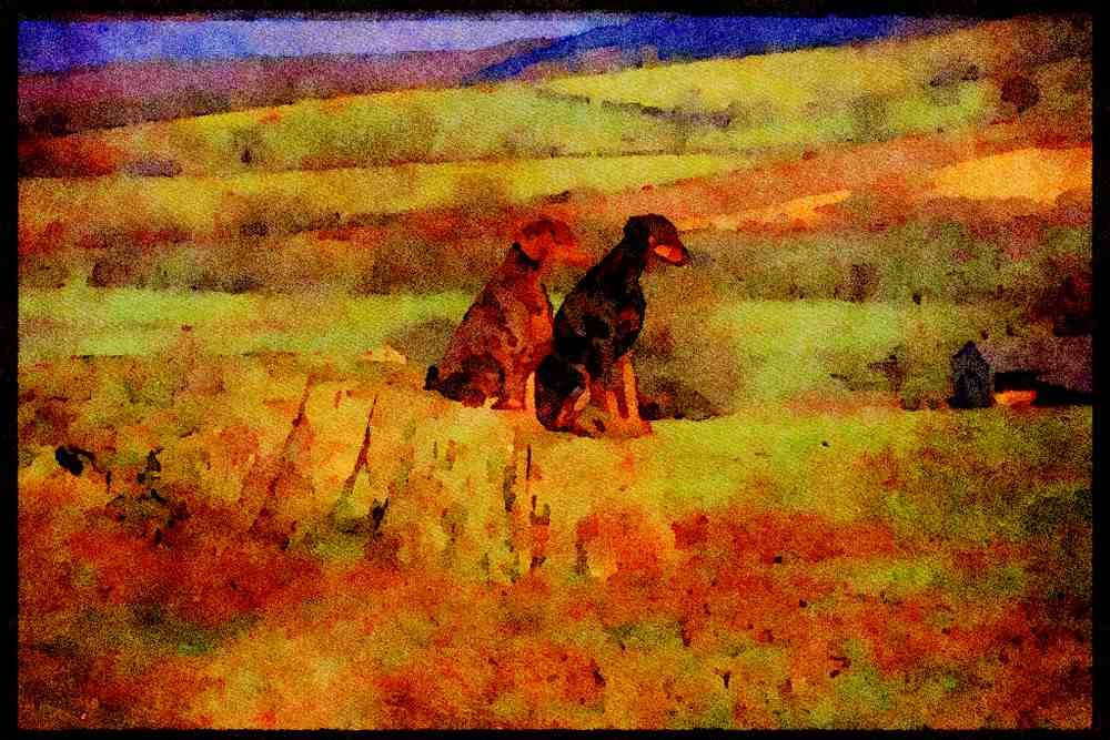 415023 Dobermann A4 Limited Edition Watercolour Print