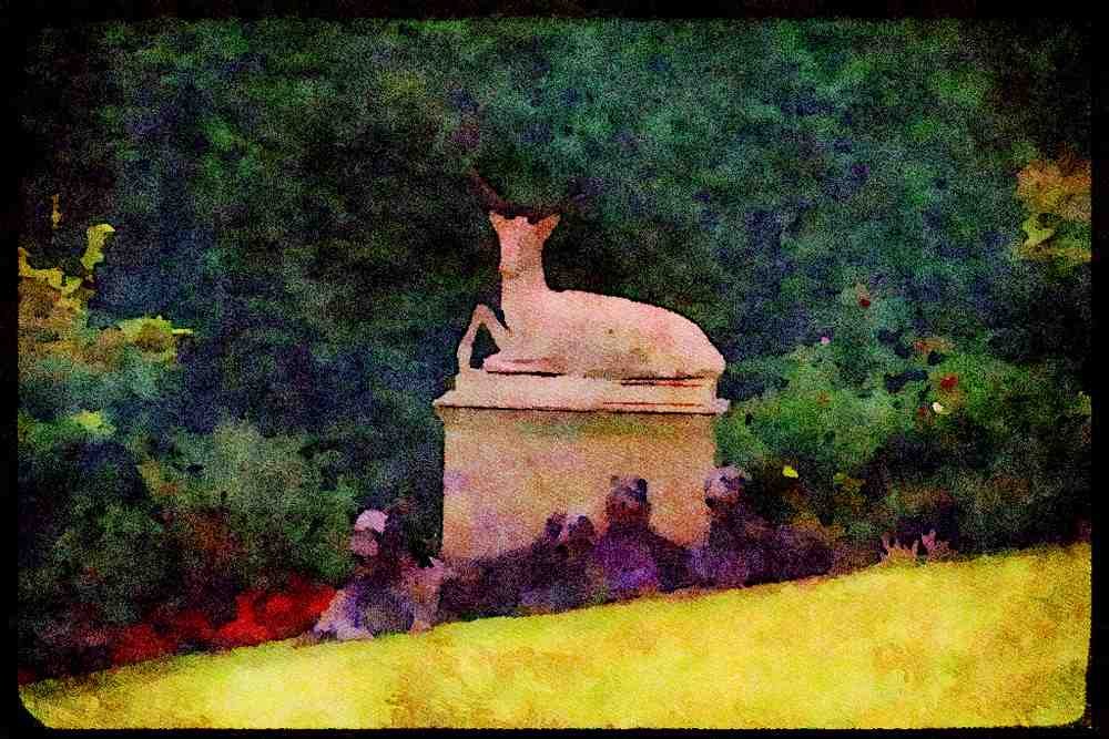 415024 Deerhound A4 Limited Edition Watercolour Print