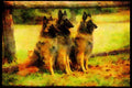 415027 Belgian Sheepdog A4 Limited Edition Watercolour Print