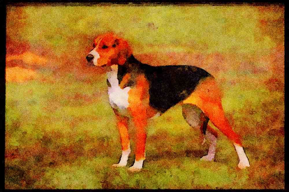 415044 Hamilton Stovare A4 Limited Edition Watercolour Print