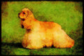 415058 Cocker Spaniel A4 Limited Edition Watercolour Print