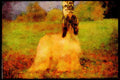 415060 Afghan _blaze_ A4 Limited Edition Watercolour Print
