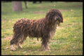 415063 Agua A4 Photo Print