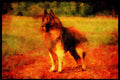 415076 Tervueron A4 Limited Edition Watercolour Print