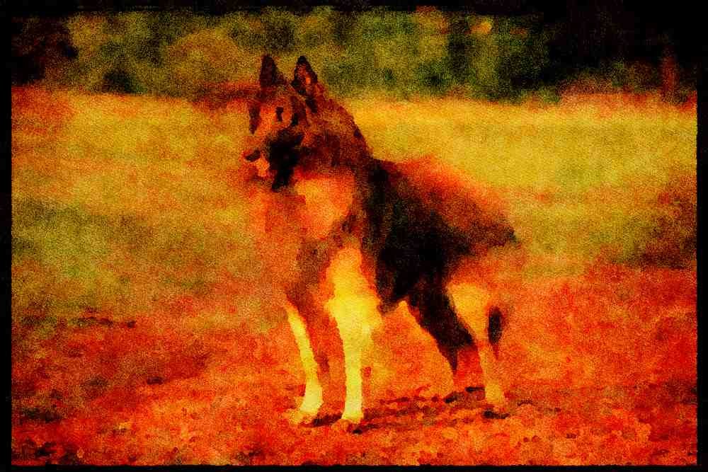 415076 Tervueron A4 Limited Edition Watercolour Print