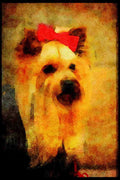 415094 Yorkshire Terrier A4 Limited Edition Watercolour Print