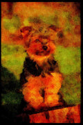 415099 Yorkshire Terrier A4 Limited Edition Watercolour Print