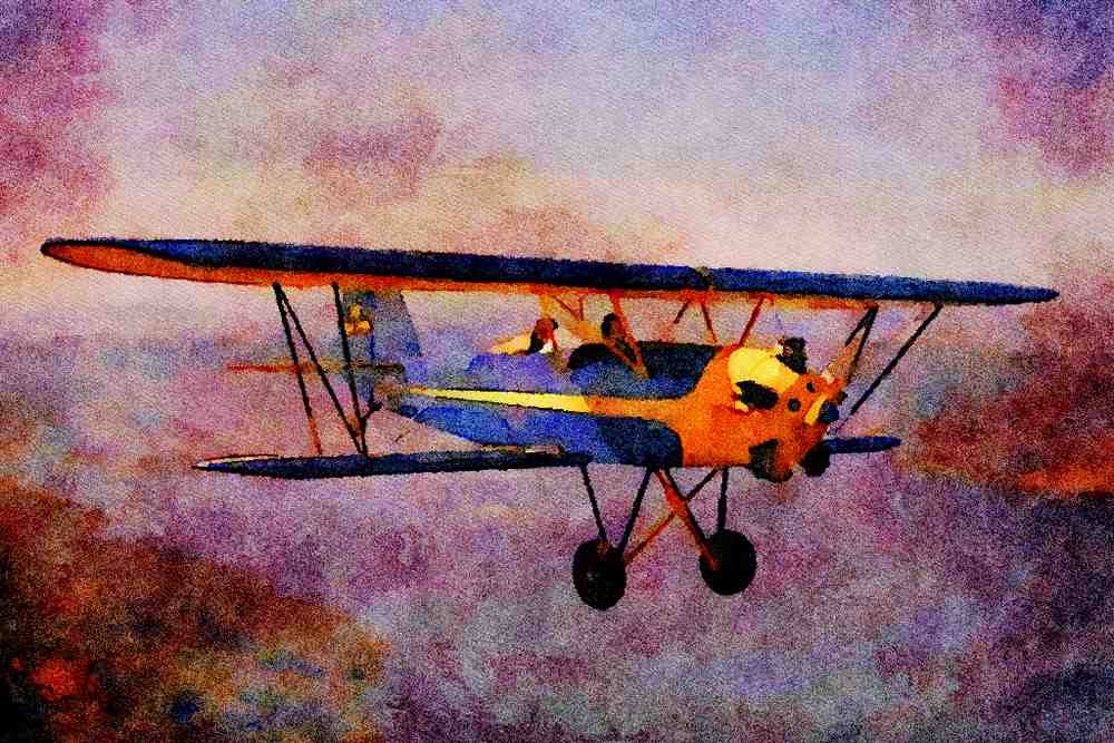 417003 Brunner Winkle Bird BK, 1930, Columbia, CA A4 Limited Edition Watercolour Print