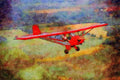 417016 Taylor E 2 Cub, 1935, Marshal, MO A4 Limited Edition Watercolour Print