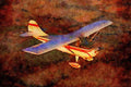 417020 Aeronca Champ, 1946, Justin, TX A4 Limited Edition Watercolour Print