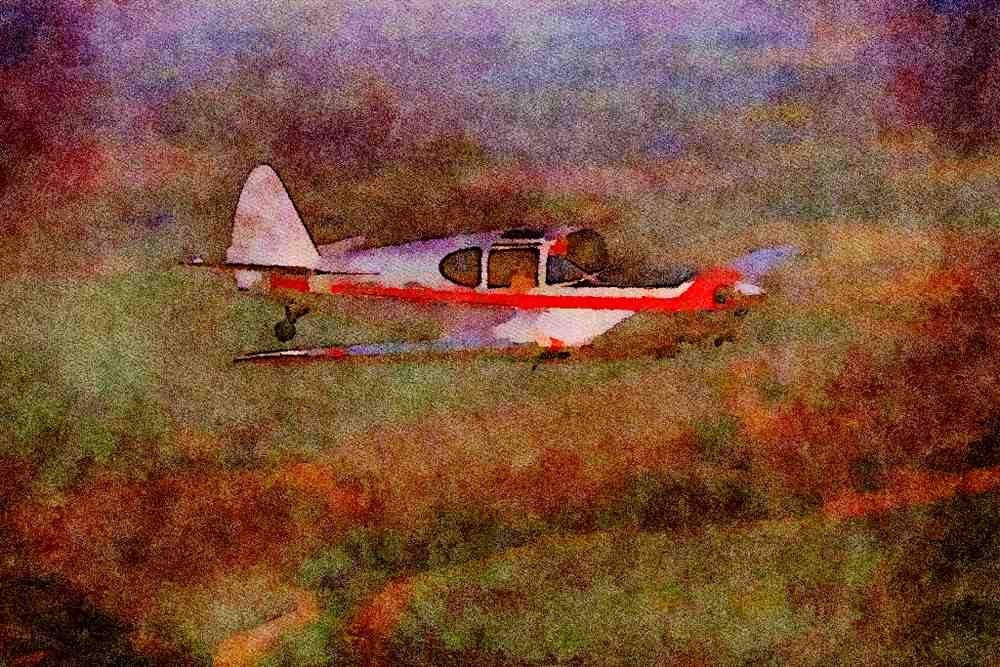 417026 Globe Swift, 1946, Slater, MO A4 Limited Edition Watercolour Print